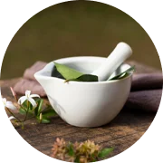 Elm flower remedy for stress relief and emotional balance at Brahmi Ayurvedic Clinic Dubai