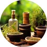 Elm Bach flower remedy icon for emotional balance and stress relief at Brahmi Dubai