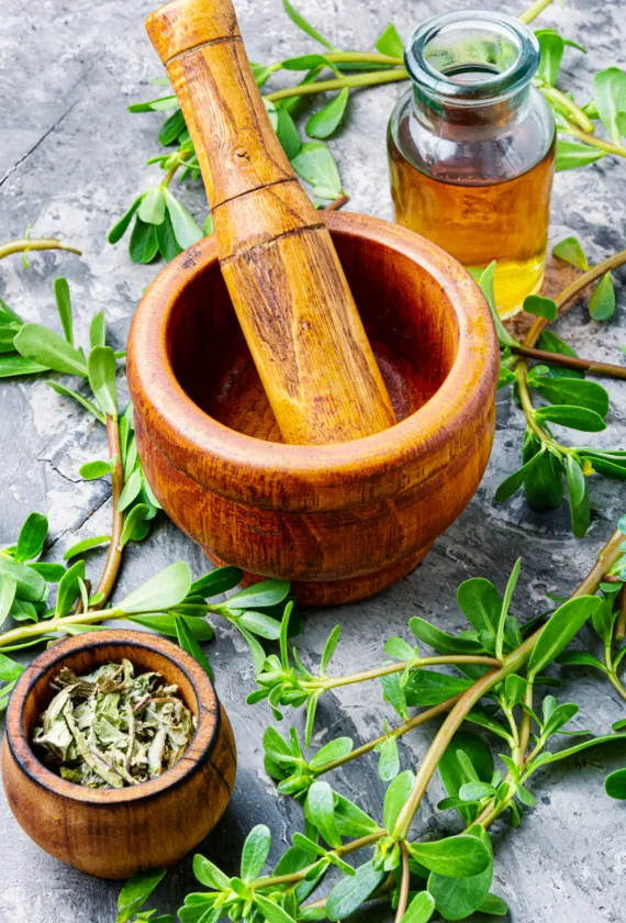ayurvedic treatment